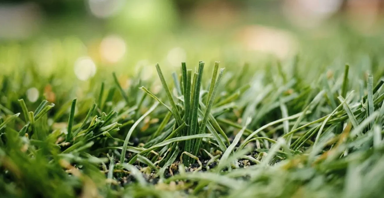 Gros plan sur des brins de gazon synthétique montrant leur texture, certains droits et d'autres légèrement inclinés